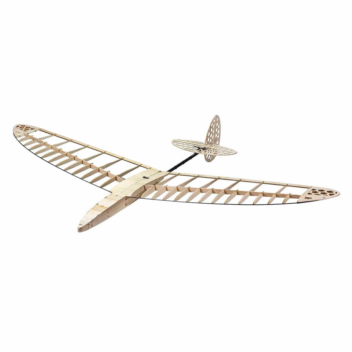 Dancing Wings 1.2m DLG Windrunner Balsa RC Plane Kit (Servos,Film Included)