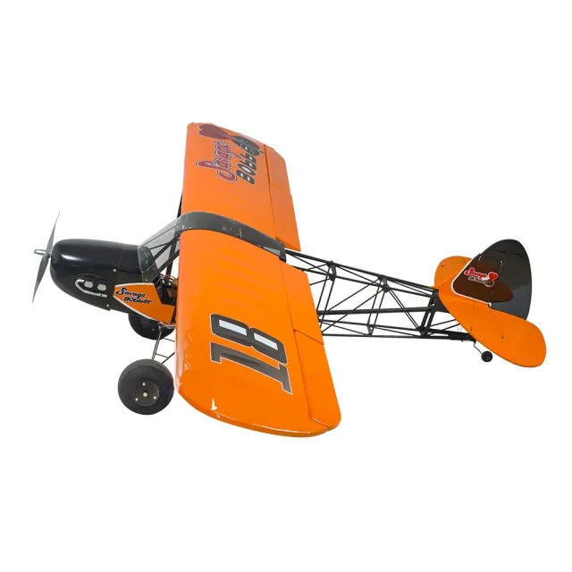 Dancing Wings 1/5 Scale Savage Bobber ARF (1.8m Wingspan)