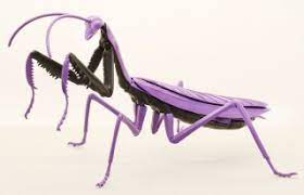 Fujimi Evangelion Edition Big Mantis Type Unit - 01 (FI No.231) Plastic Model Kit - Hobbytech Toys