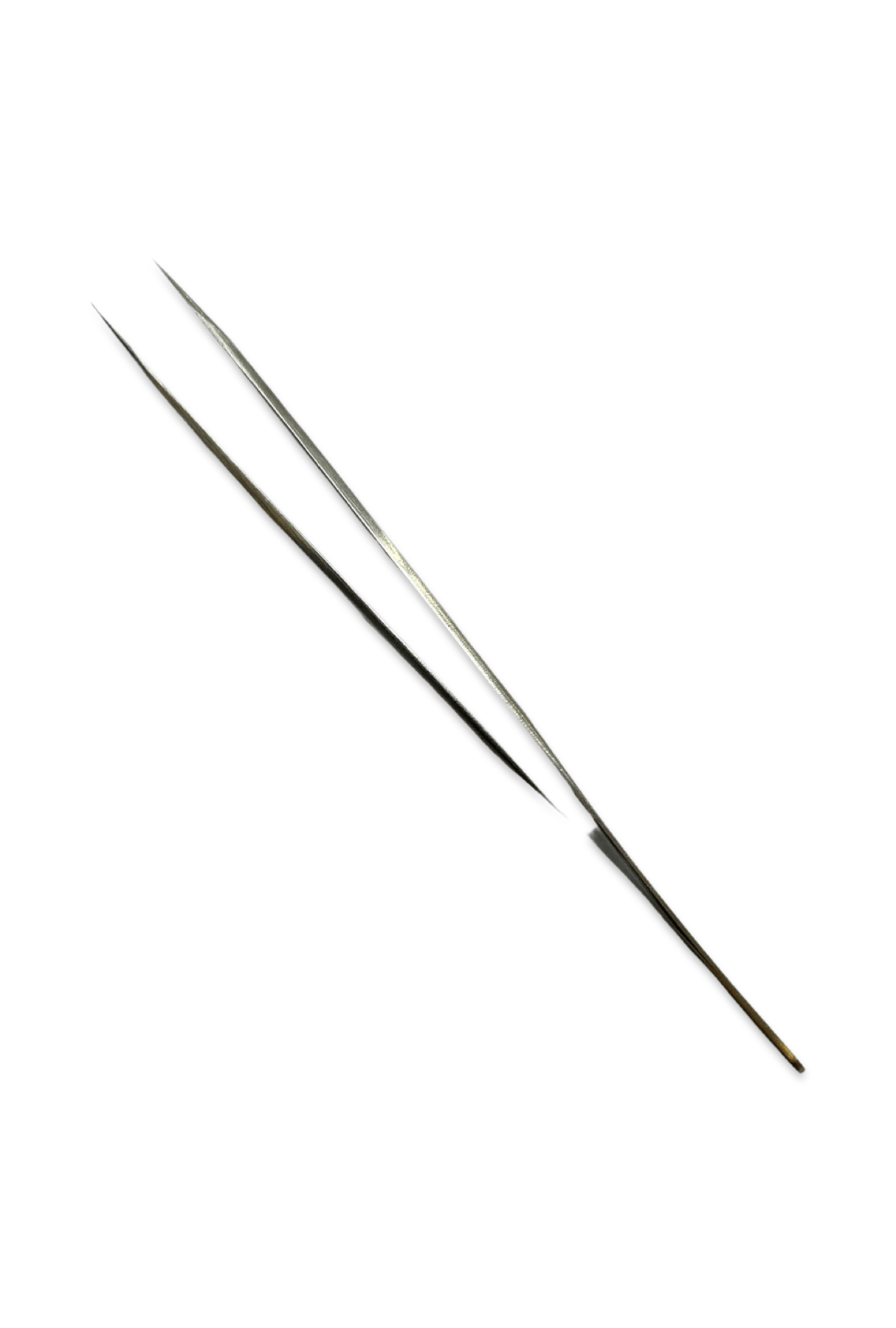 Hobbytech ST - 12 Long Pointed Stainless Steel Tweezers - Hobbytech Toys