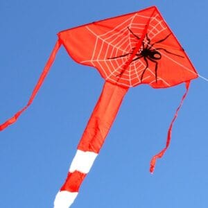 Ocean Breeze Spider Kite