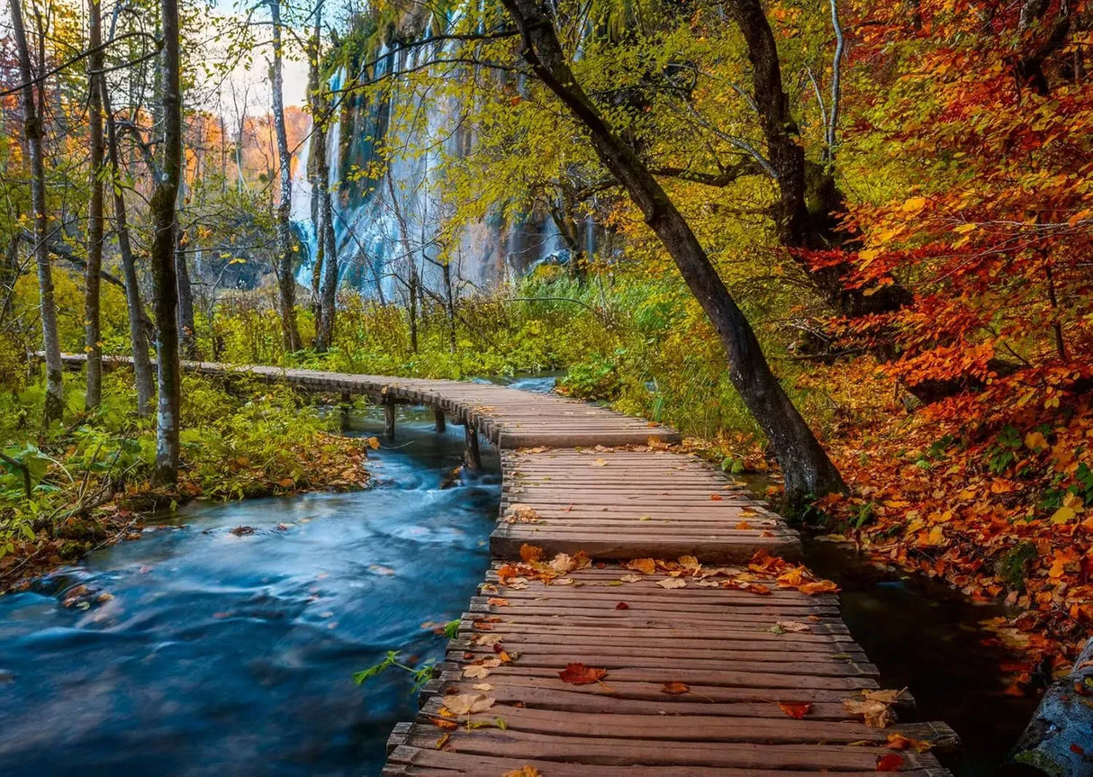 Ravensburger Autumnal Forest path 1000pc Puzzle
