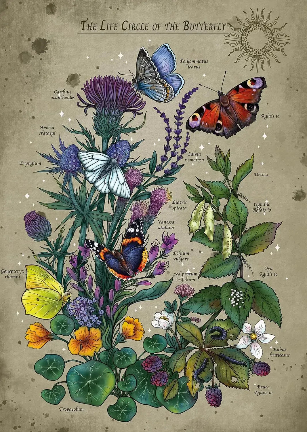 Ravensburger Lifecircle Butterfly 1000pc Puzzle