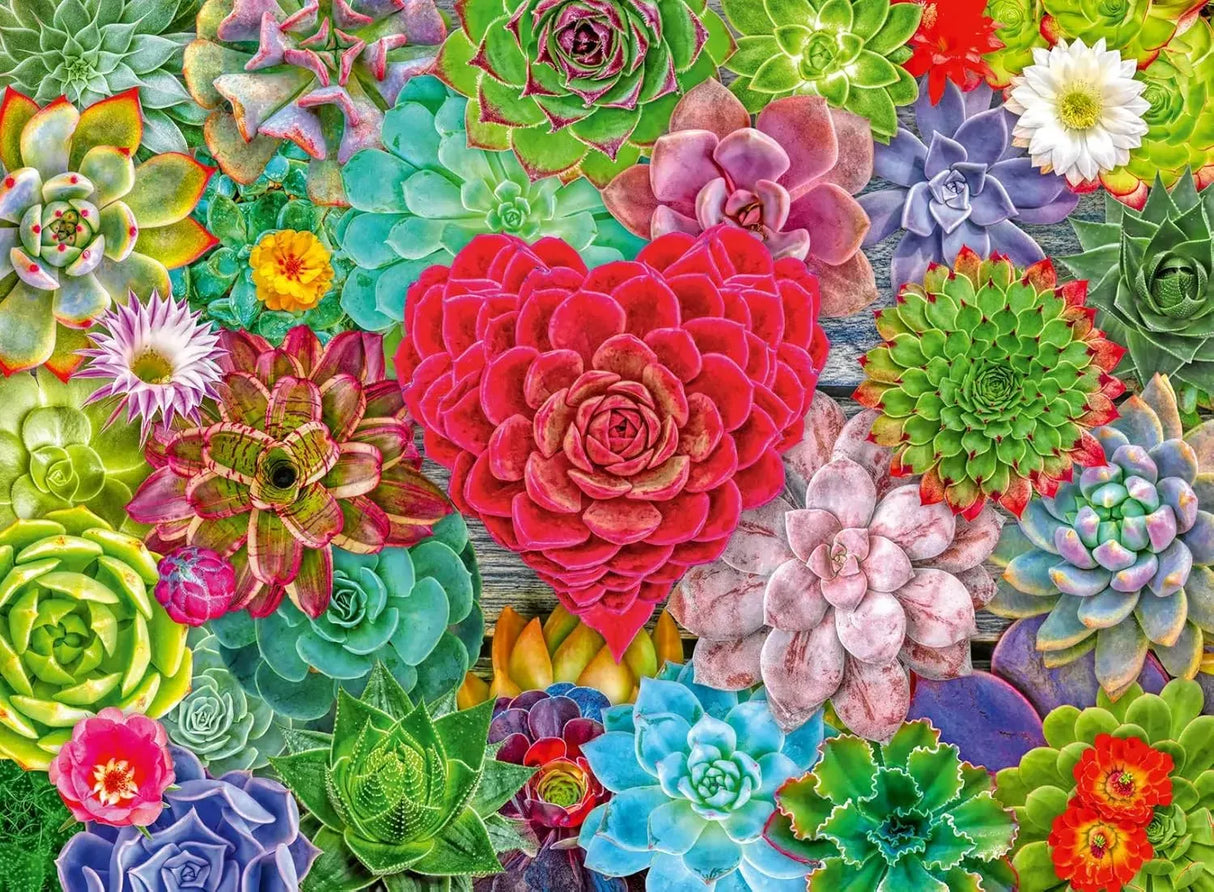 Ravensburger Succulent Love 500pc Puzzle