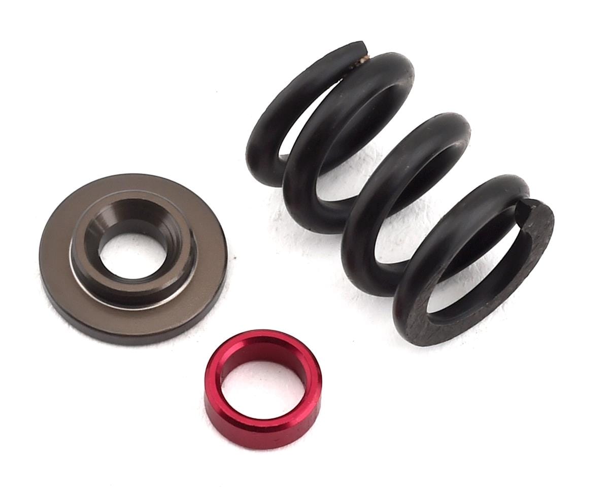 Team Losi Racing TLR232083 SHDS HD Slipper Spring Set