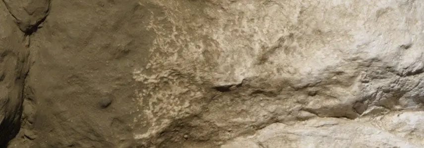 Woodland Scenics C1229 Colour Earth Undercoat 8Oz Woodland Scenics PAINT, BRUSHES & SUPPLIES