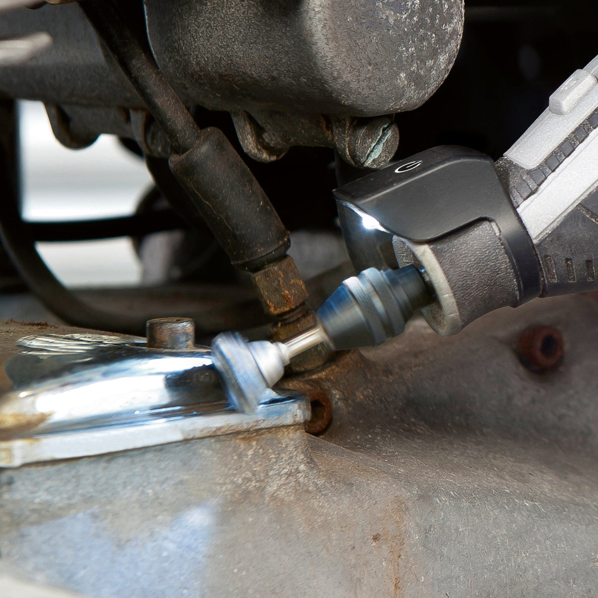 Dremel Carbon Steel Brush 13mm (442-2) - 2 Pack - Hobbytech Toys