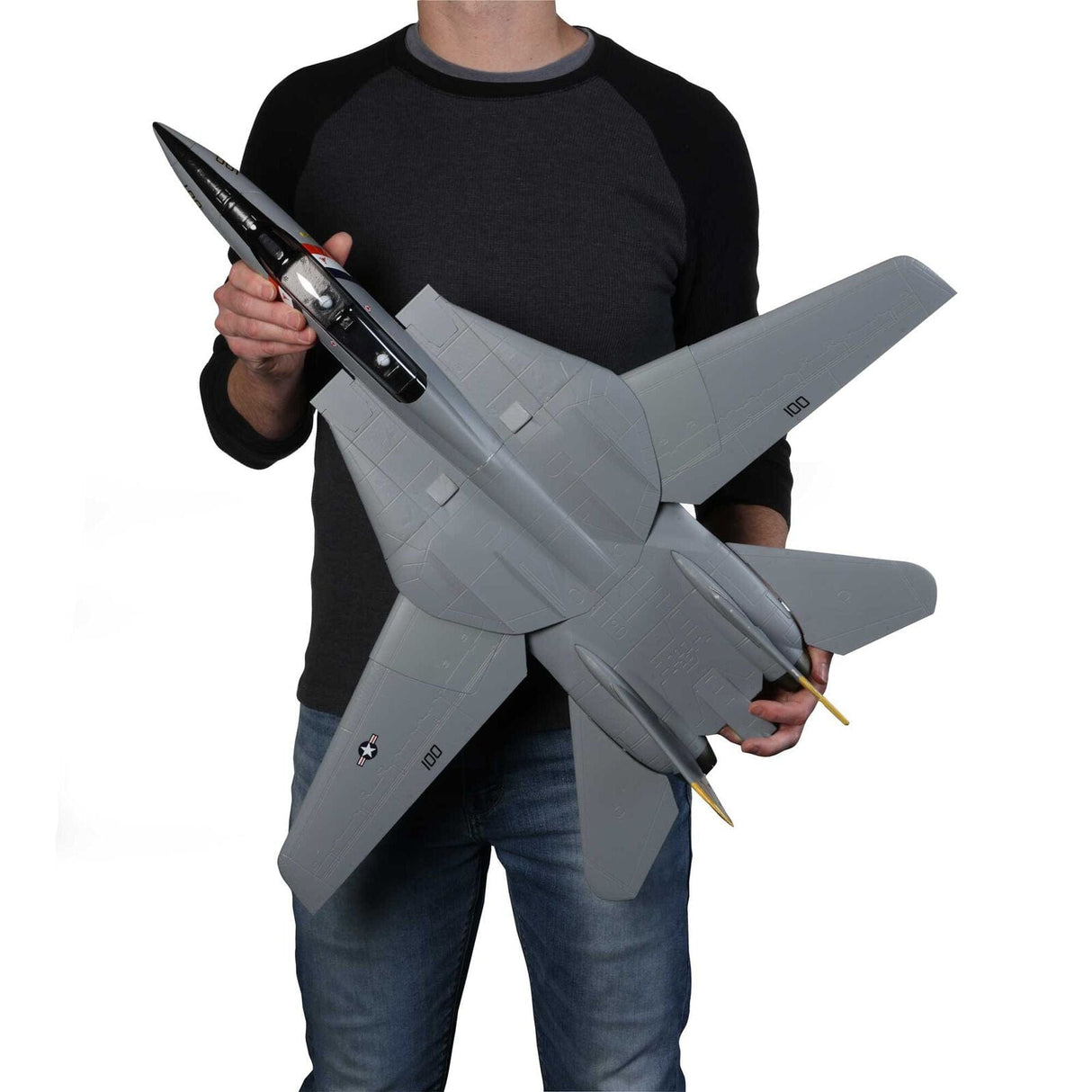 E-Flite F-14 Tomcat Twin 40mm EDF Jet, BNF Basic - Hobbytech Toys