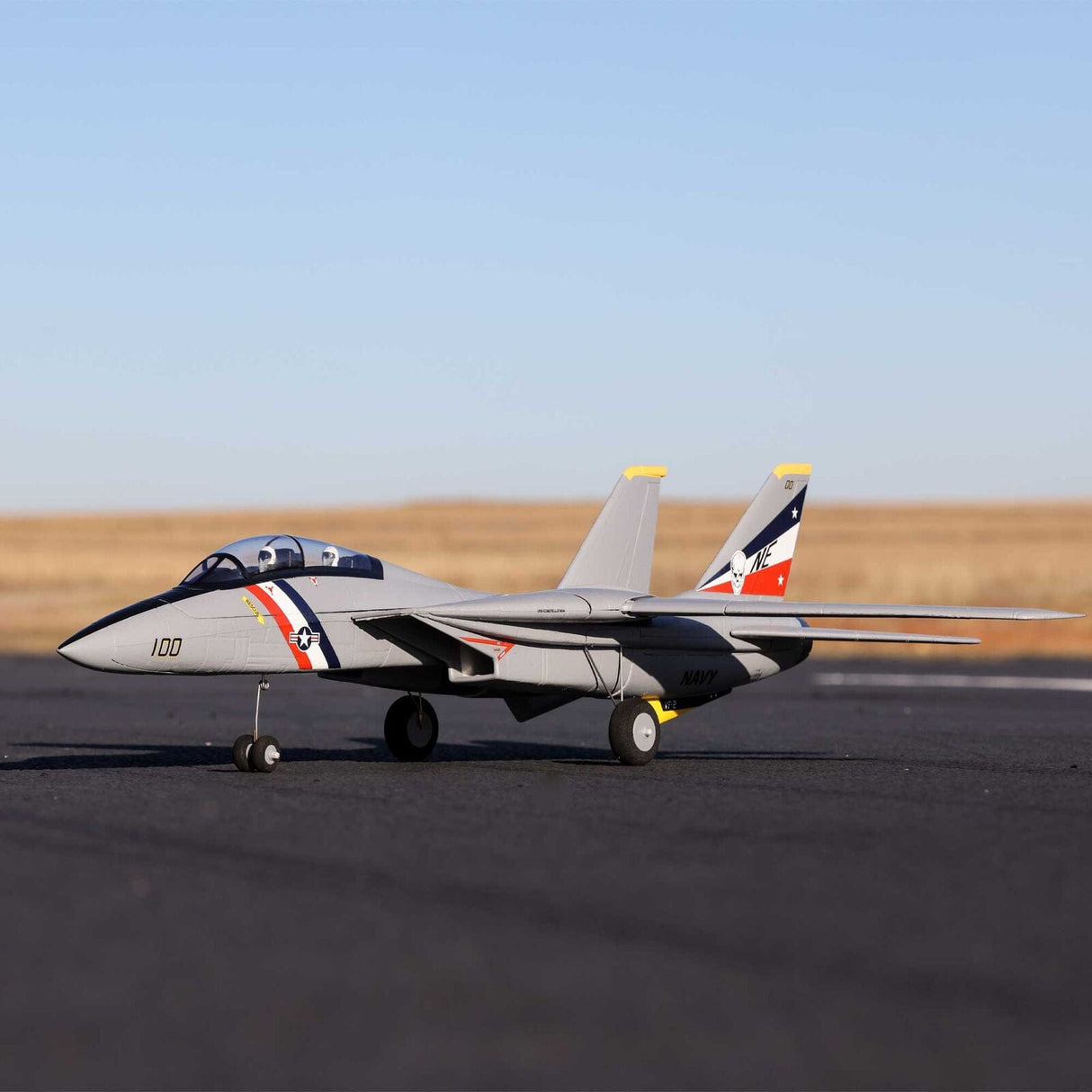 E-Flite F-14 Tomcat Twin 40mm EDF Jet, BNF Basic - Hobbytech Toys