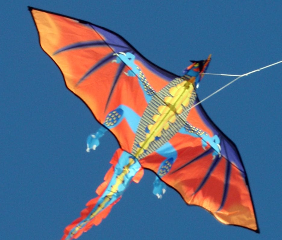 Ocean Breeze Fire Dragon Single Line Kite Ocean Breeze TOY SECTION