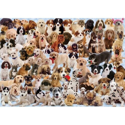 Ravensburger 15633-7 Dogs Galore! Puzzle 1000pc - Hobbytech Toys