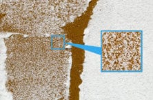 Tamiya 87120 Texture Paint Powder Snow Effect White Tamiya PAINT, BRUSHES & SUPPLIES