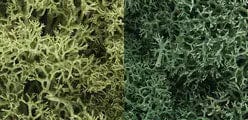 Woodland Scenics L167 Lichen Bag Light Green 165Ci Woodland Scenics TRAINS - SCENERY