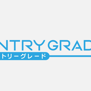 EG - Entry Grade