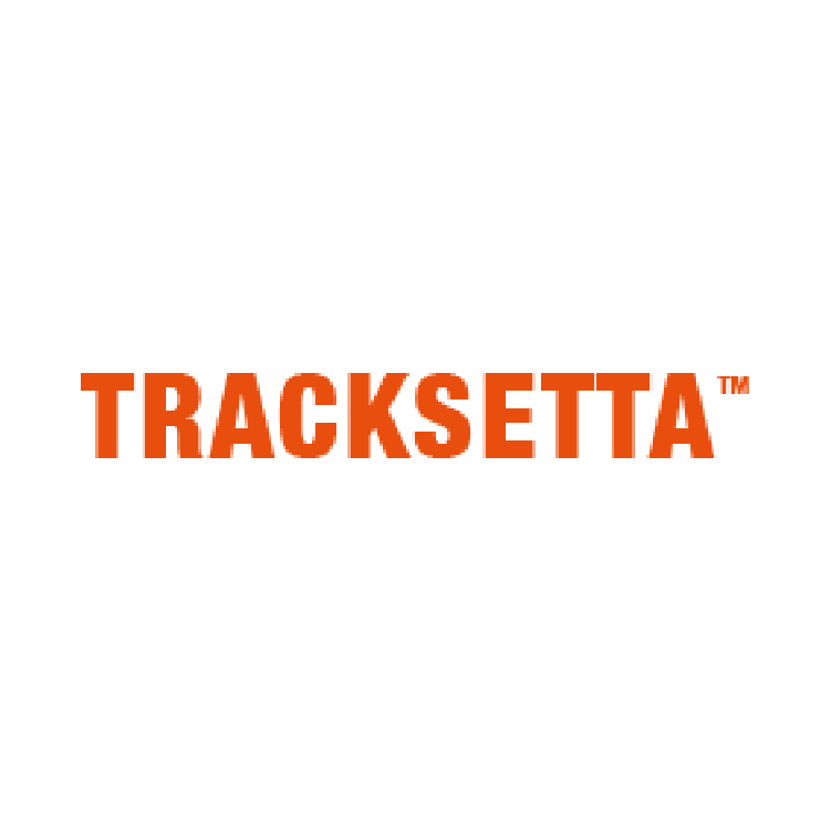 Shop Tracksetta at Hobbytech Toys