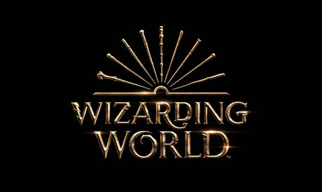 Wizarding World Hobbytech Toys