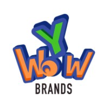 Y WOW Brands Hobbytech Toys