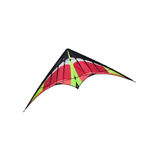 Kites