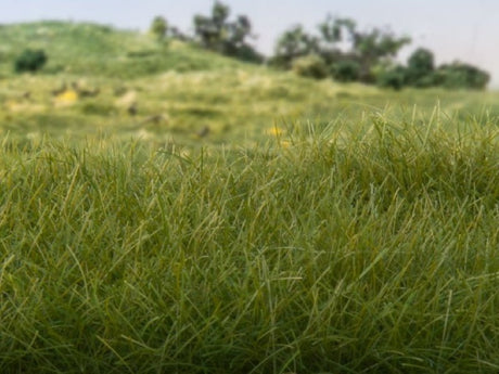 Model Railway Grass - Hobbytech Toys