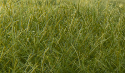 Model Railway Static Grass - Hobbytech Toys