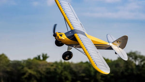 Ready To Fly (RTF)