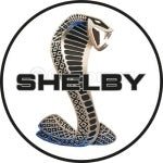Shelby Diecast Cars - Hobbytech Toys