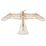 Dancing Wings Etrich Taube Wooden Model 460mm Wingspan - Hobbytech Toys