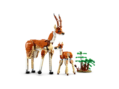 LEGO 31150 Creator Wild Safari Animals - Hobbytech Toys