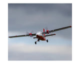 E-Flite UMX Twin Otter RC Plane, BNF Basic - Hobbytech Toys