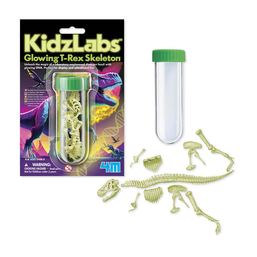 4M - KidzLabs - Glowing T-Rex Skeleton - Hobbytech Toys