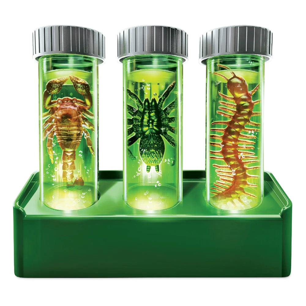 4M - KidzLabs - Glow Critter Lab - Hobbytech Toys