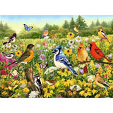 Ravensburger Birds in the Meadow 500pc Puzzle - Hobbytech Toys