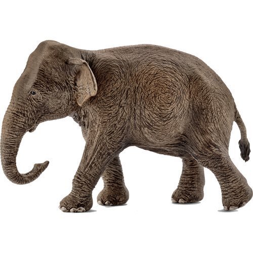 Schleich 14753 Asian Elephant Female - Hobbytech Toys