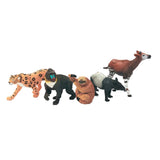 Wild Republic Rainforest Collection Poly Bag - Hobbytech Toys