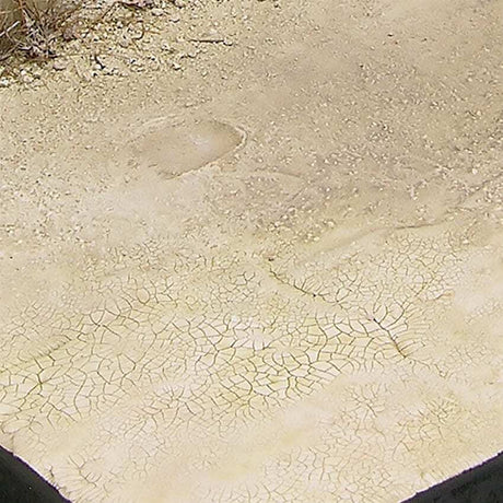 AK Interactive Dioramas: Light & Dry Crackle Effects - 100ml (Acrylic)