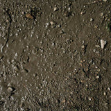AK Interactive Dioramas: Terrains Wet Ground - 250ml (Acrylic)