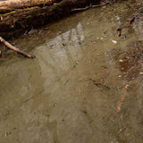 AK Interactive Dioramas: Water Gel Swamp Green Effects - 250ml (Acrylic)