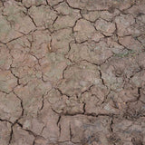 AK Interactive Dioramas: Wet Crackle Effects - 100ml (Acrylic)