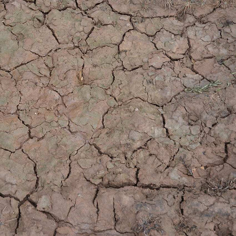 AK Interactive Dioramas: Wet Crackle Effects - 100ml (Acrylic)