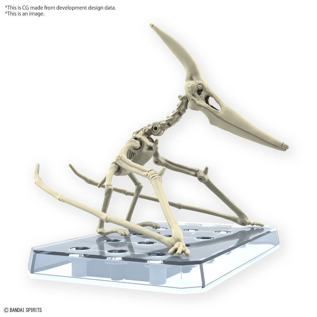 Bandai 5066282 PLANNOSAURUS Pteranodon Dinosaur Plastic Model Kit - Hobbytech Toys