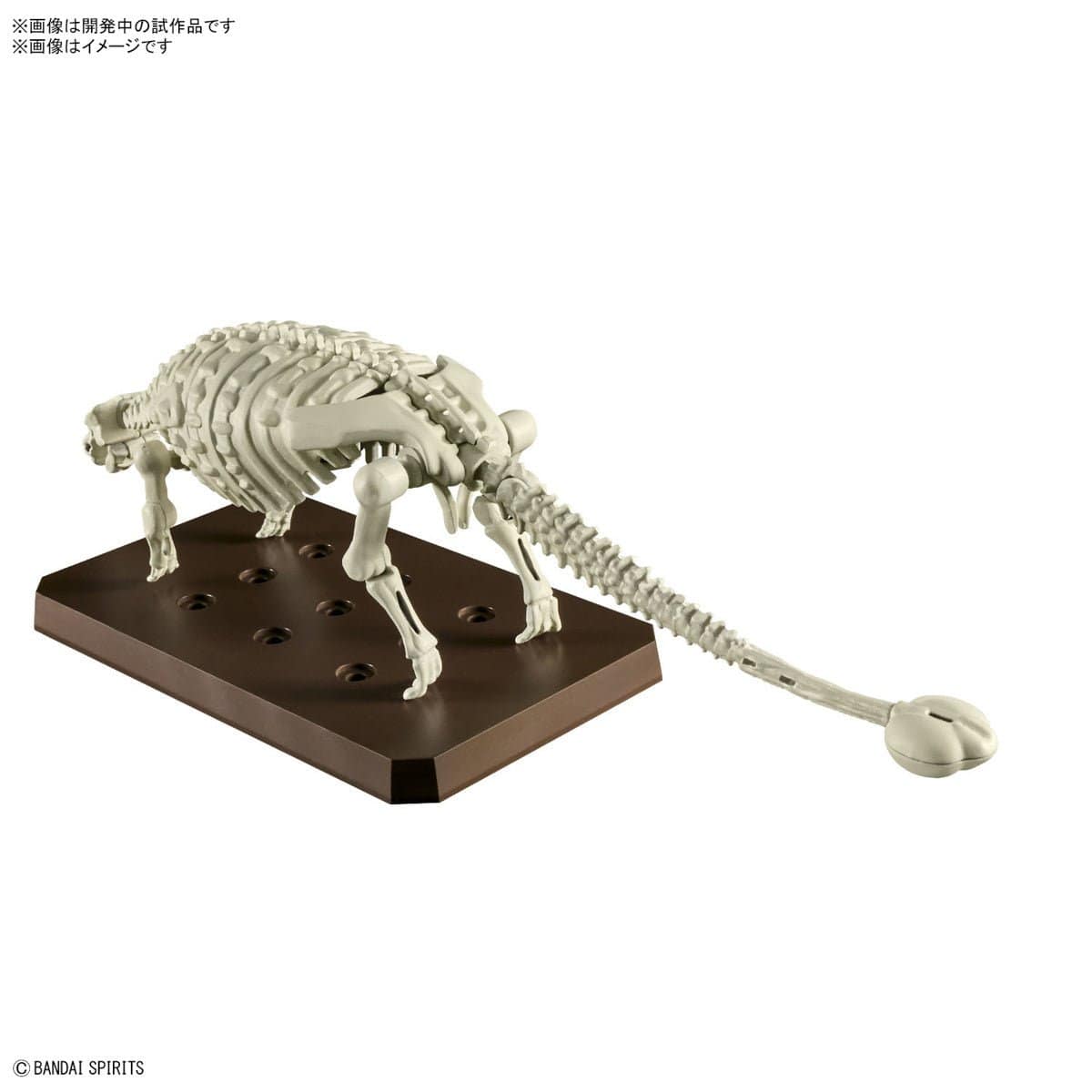 Bandai G5065702 Planosaurus Ankylosaurus Dinosaur Model Kit - Hobbytech Toys