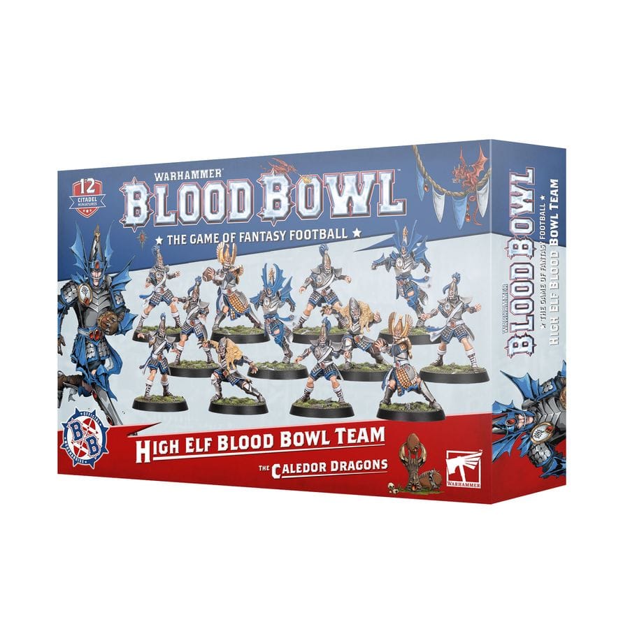 Blood Bowl: High Elf Blood Bowl Team [202-62]