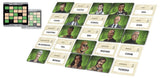 Codenames Duet (2025 Refresh)