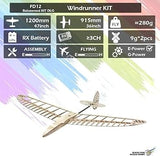Dancing Wings 1.2m DLG Windrunner Balsa RC Plane Kit (Servos,Film Included)