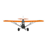 Dancing Wings 1/5 Scale Savage Bobber ARF (1.8m Wingspan)