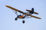 Dancing Wings 1/5 Scale Savage Bobber ARF (1.8m Wingspan)