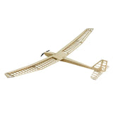 Dancing Wings 2.5m EP Glider Aion Balsa RC Plane Kit (Motor,ESC,Servos Included)