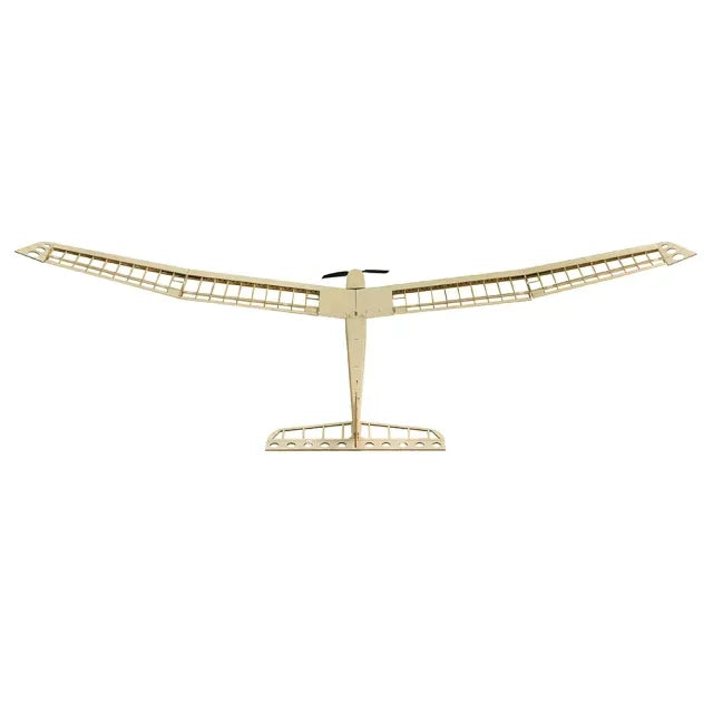 Dancing Wings 2.5m EP Glider Aion Balsa RC Plane Kit (Motor,ESC,Servos Included)