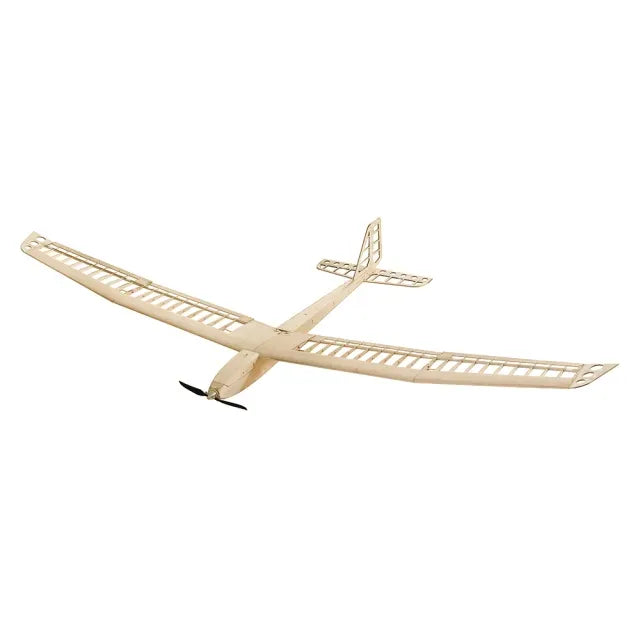 Dancing Wings 2.5m EP Glider Aion Balsa RC Plane Kit (Motor,ESC,Servos Included)