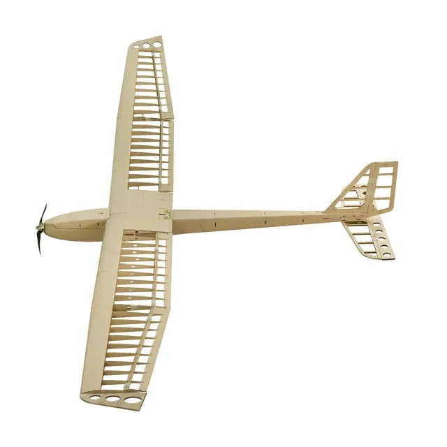 Dancing Wings 2.5m EP Glider Aion Balsa RC Plane Kit (Motor,ESC,Servos Included)